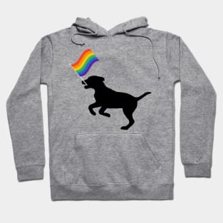 gay pride Hoodie